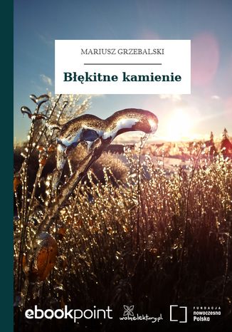 Błękitne kamienie Mariusz Grzebalski - okladka książki