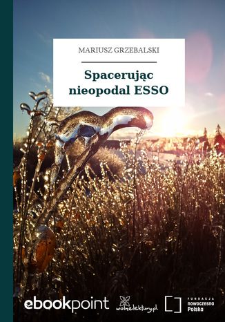 Spacerując nieopodal ESSO Mariusz Grzebalski - okladka książki