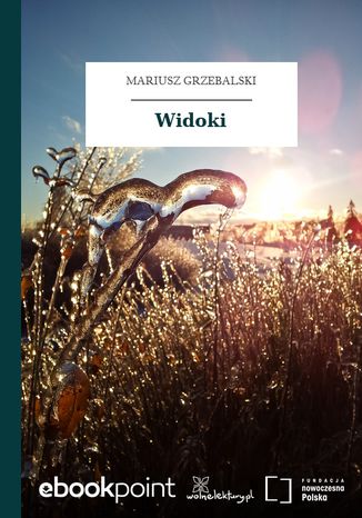 Widoki Mariusz Grzebalski - okladka książki