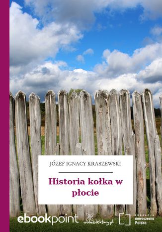 Historia kołka w płocie Józef Ignacy Kraszewski - okladka książki