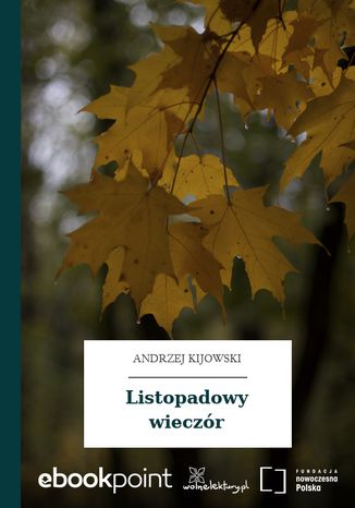 Listopadowy wieczór Andrzej Kijowski - okladka książki