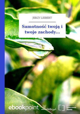 Samotność twoją i twoje zachody Jerzy Liebert - okladka książki