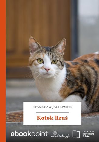 Kotek lizuś Stanisław Jachowicz - okladka książki