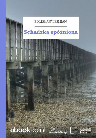 Schadzka spóźniona Bolesław Leśmian - okladka książki