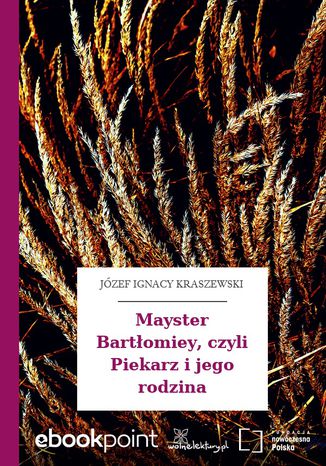 Mayster Bartłomiey, czyli Piekarz i jego rodzina Józef Ignacy Kraszewski - okladka książki