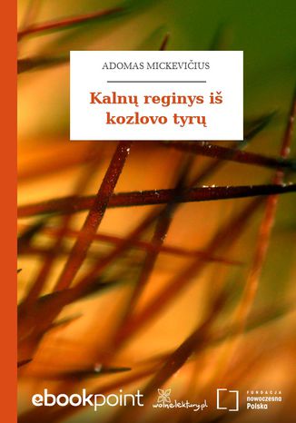 Kaln reginys iš kozlovo tyr Adam Mickiewicz - okladka książki