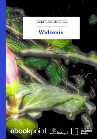 Widzenie Józef Czechowicz - okladka książki