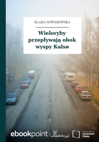 Wieloryby przepływają obok wyspy Kals Klara Nowakowska - okladka książki