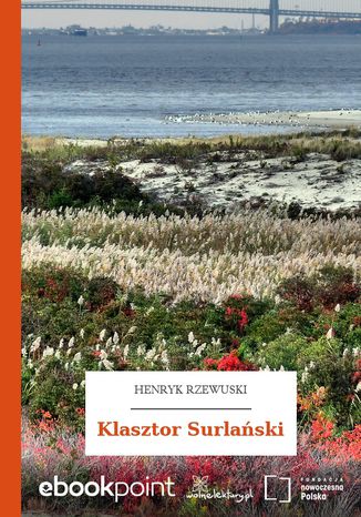 Klasztor Surlański Henryk Rzewuski - okladka książki