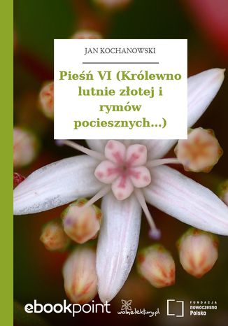 Pieśń VI (Królewno lutnie złotej i rymów pociesznych...) Jan Kochanowski - okladka książki