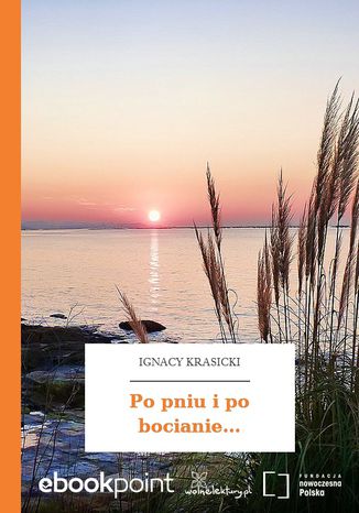 Po pniu i po bocianie Ignacy Krasicki - okladka książki