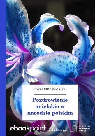 Pozdrowienie anielskie w narodzie polskim Józef Birkenmajer - okladka książki