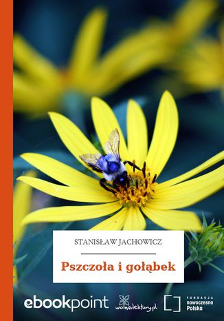 Pszczoła i gołąbek Stanisław Jachowicz - okladka książki