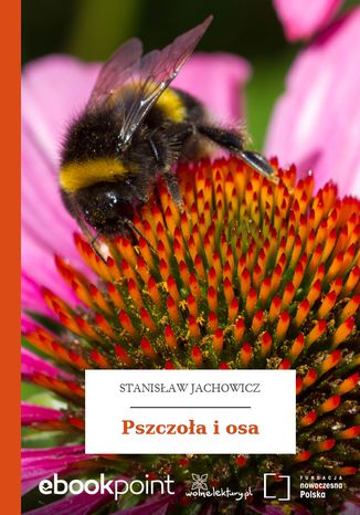 Pszczoła i osa Stanisław Jachowicz - okladka książki