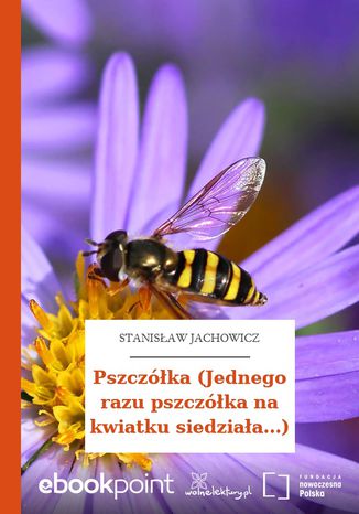 Pszczółka (Jednego razu pszczółka na kwiatku siedziała...) Stanisław Jachowicz - okladka książki