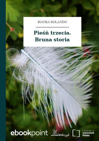 Pieśń trzecia. Bruna storia Bianka Rolando - okladka książki