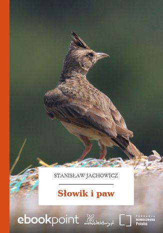 Słowik i paw Stanisław Jachowicz - okladka książki