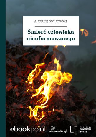 Śmierć człowieka nieuformowanego Andrzej Sosnowski - okladka książki