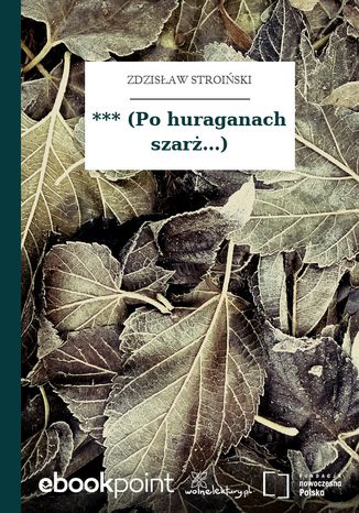 *** (Po huraganach szarż...) Zdzisław Stroiński - okladka książki