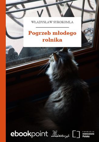 Pogrzeb młodego rolnika Władysław Syrokomla - okladka książki