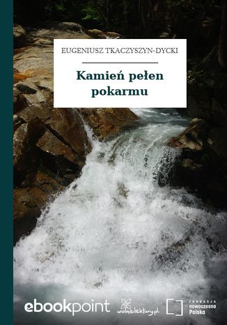 Kamień pełen pokarmu Eugeniusz Tkaczyszyn-Dycki - okladka książki