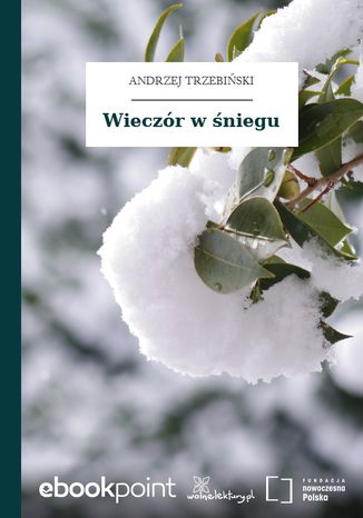 Wieczór w śniegu Andrzej Trzebiński - okladka książki