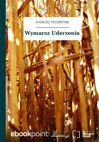 Wymarsz Uderzenia Andrzej Trzebiński - okladka książki