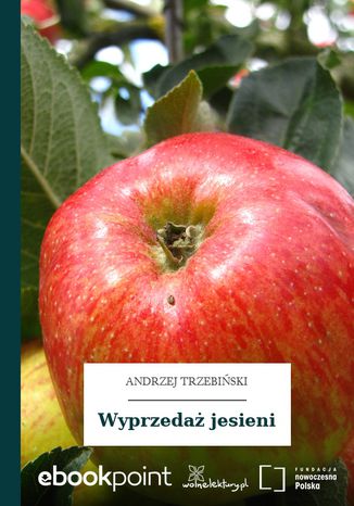 Wyprzedaż jesieni Andrzej Trzebiński - okladka książki