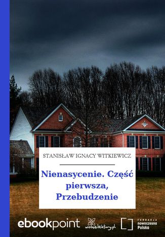 Nienasycenie. Część pierwsza, Przebudzenie Stanisław Ignacy Witkiewicz (Witkacy) - okladka książki