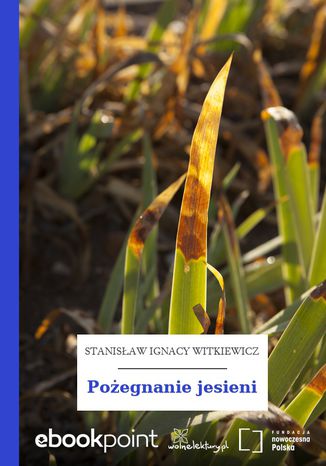 Pożegnanie jesieni Stanisław Ignacy Witkiewicz (Witkacy) - okladka książki