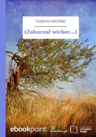 (Zahuczał wicher...) Tadeusz Miciński - okladka książki