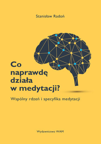 Co naprawdę działa w medytacji?. Wspólny rdzeń i specyfika medytacji Stanisław Radoń - audiobook MP3