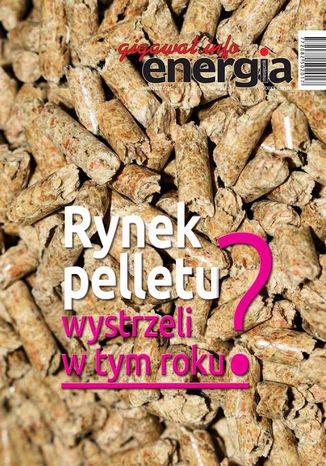 Energia Gigawat nr 3/2020 Sylwester Wolak - okladka książki