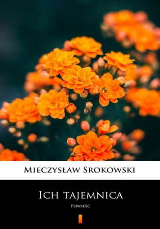 Ich tajemnica. Powieść Mieczysław Srokowski - okladka książki