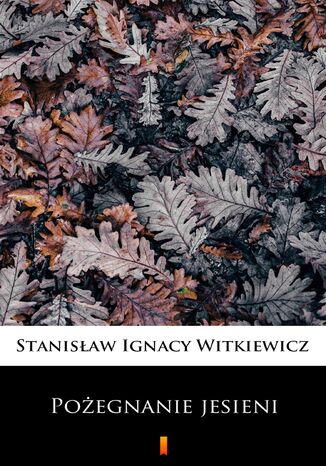 Pożegnanie jesieni Stanisław Ignacy Witkiewicz - okladka książki