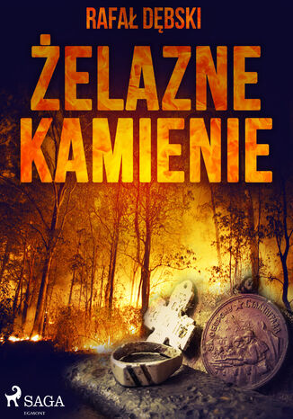 Cykl o Komisarzu Wrońskim. Żelazne kamienie (#2) Rafał Dębski - okladka książki