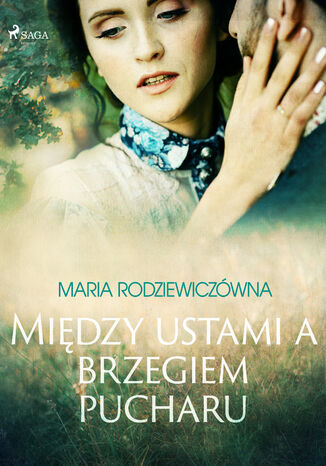 Między ustami a brzegiem pucharu Maria Rodziewiczówna - okladka książki