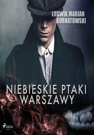 Niebieskie Ptaki Warszawy Ludwik Marian Kurnatowski - okladka książki