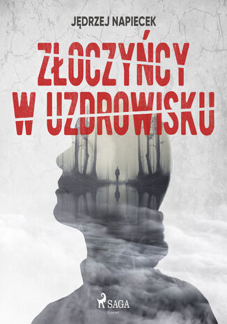 Złoczyńcy w uzdrowisku. Złoczyńcy w uzdrowisku Jędrzej Napiecek - okladka książki