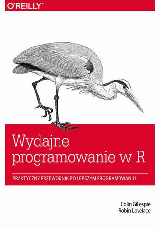 Wydajne programowanie w R. Praktyczny przewodnik po lepszym programowaniu Colin Gillespie, Robin Lovelace - okladka książki
