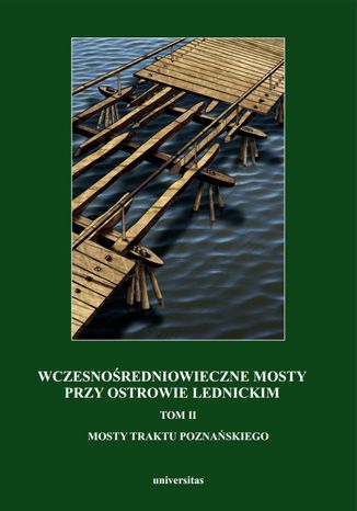 Wczesnośredniowieczne mosty przy Ostrowie Lednickim. Tom II: Mosty traktu poznańskiego Andrzej Kola, Gerard Wilke - okladka książki