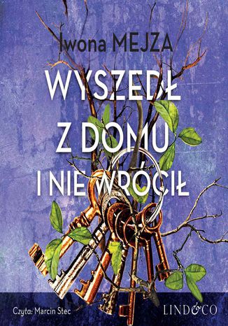 Wyszedł z domu i nie wrócił Iwona Mejza - okladka książki