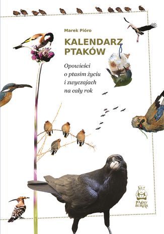 Kalendarz ptaków. Opowieści o ptasim życiu i zwyczajach na cały rok Marek Pióro - okladka książki