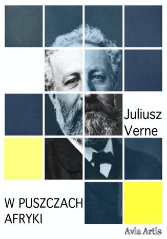 W puszczach Afryki Juliusz Verne - okladka książki