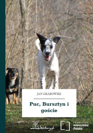 Puc, Bursztyn i goście Jan Grabowski - okladka książki