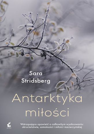 Antarktyka miłości Sara Stridsberg - okladka książki