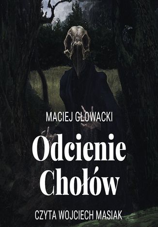 Odcienie Chołów Maciej Głowacki - okladka książki