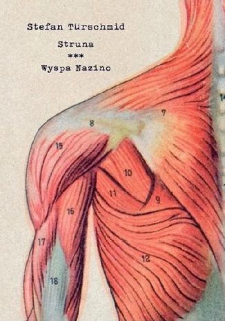 Struna/ Wyspa Nazino Ewa Tenderenda-Ożóg - okladka książki