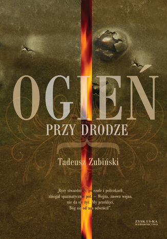 Ogień przy drodze Tadeusz Zubiński - okladka książki
