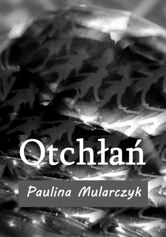 Otchłań Paulina Mularczyk - okladka książki